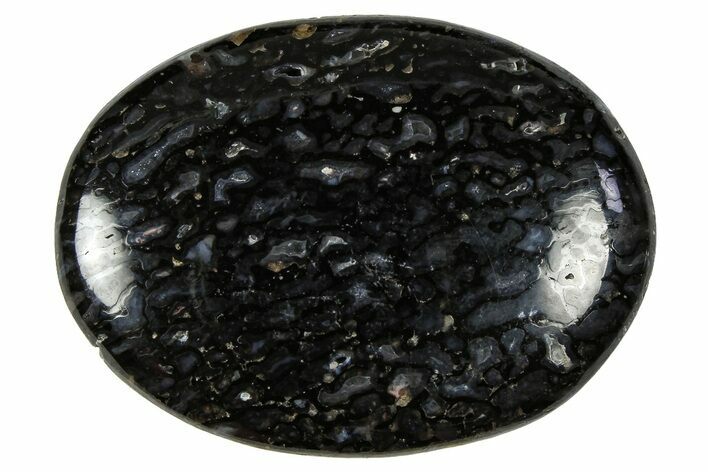 Polished Dinosaur Bone (Gembone) Cabochon - Colorado #370768